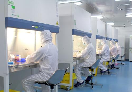 植物細胞實驗室如何施工建設(shè)