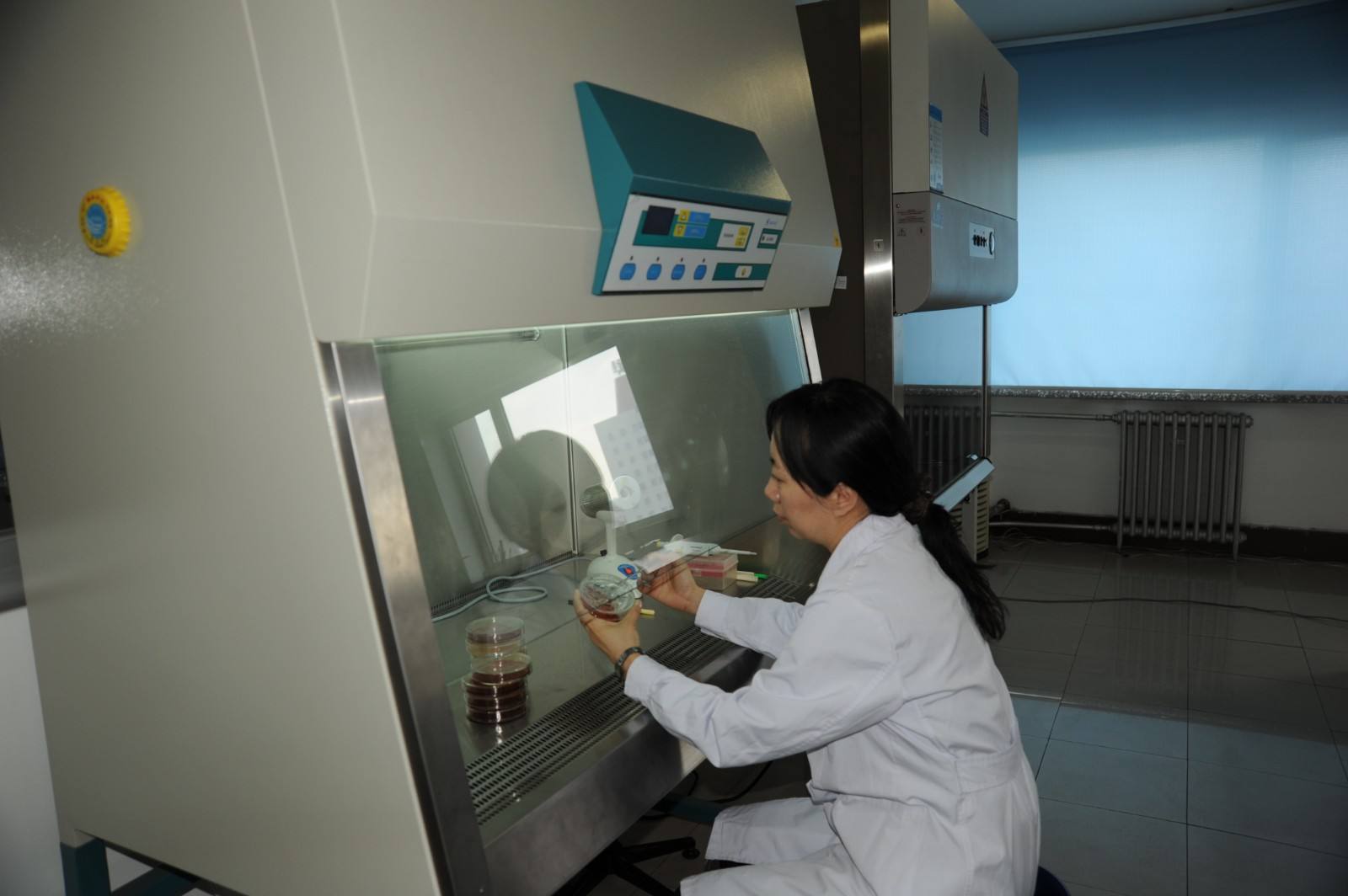 微生物無菌實驗室建設(shè)要點 微生物無菌實驗室建設(shè)要點